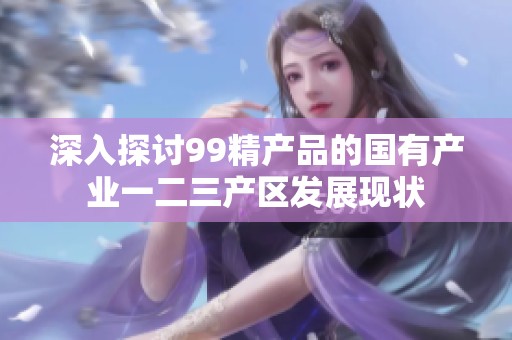 深入探讨99精产品的国有产业一二三产区发展现状