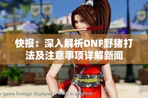 快报：深入解析DNF野猪打法及注意事项详解新闻
