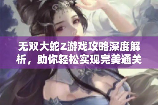 无双大蛇Z游戏攻略深度解析，助你轻松实现完美通关流程