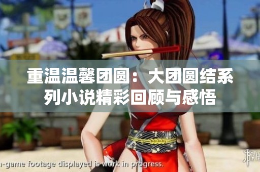 重温温馨团圆：大团圆结系列小说精彩回顾与感悟
