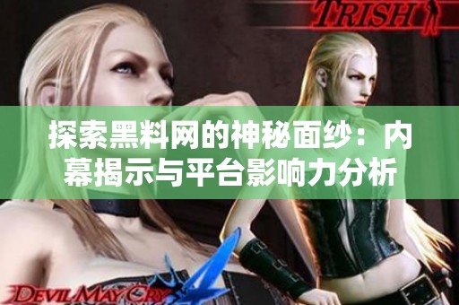 探索黑料网的神秘面纱：内幕揭示与平台影响力分析
