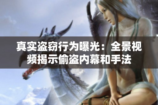 真实盗窃行为曝光：全景视频揭示偷盗内幕和手法