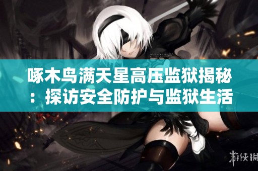 啄木鸟满天星高压监狱揭秘：探访安全防护与监狱生活