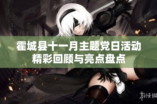 霍城县十一月主题党日活动精彩回顾与亮点盘点