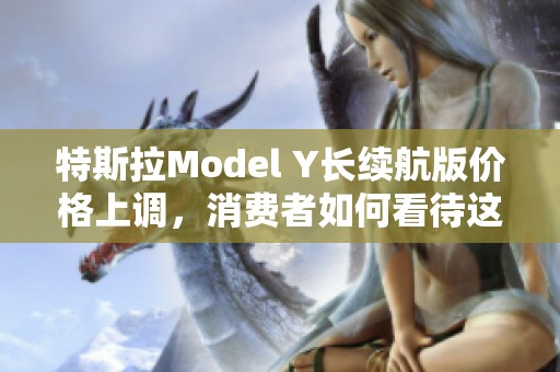 特斯拉Model Y长续航版价格上调，消费者如何看待这一变化