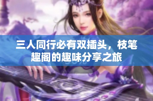 三人同行必有双插头，枝笔趣阁的趣味分享之旅