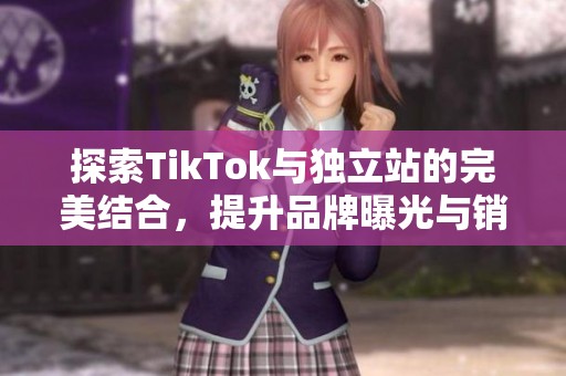 探索TikTok与独立站的完美结合，提升品牌曝光与销售转换