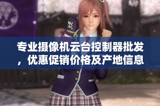 专业摄像机云台控制器批发，优惠促销价格及产地信息详解
