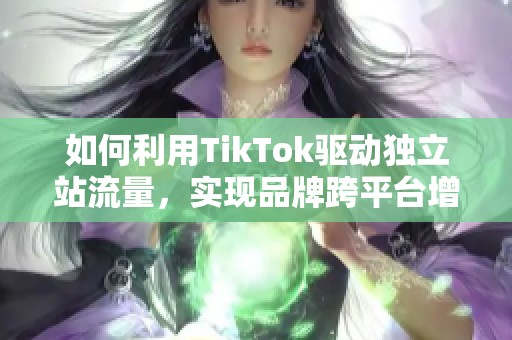 如何利用TikTok驱动独立站流量，实现品牌跨平台增长策略
