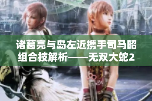 诸葛亮与岛左近携手司马昭组合技解析——无双大蛇2终极版攻略详解