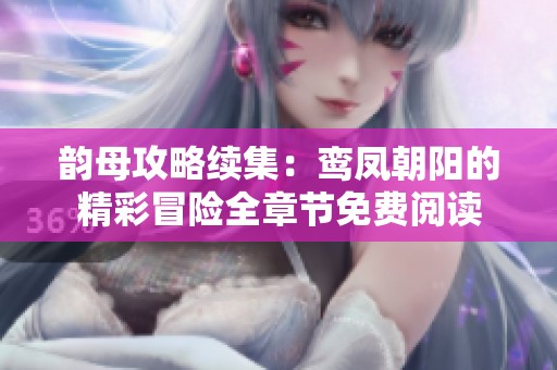 韵母攻略续集：鸾凤朝阳的精彩冒险全章节免费阅读