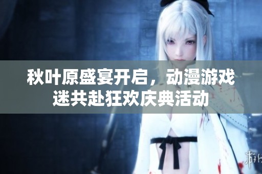 秋叶原盛宴开启，动漫游戏迷共赴狂欢庆典活动