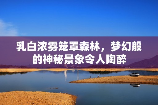 乳白浓雾笼罩森林，梦幻般的神秘景象令人陶醉