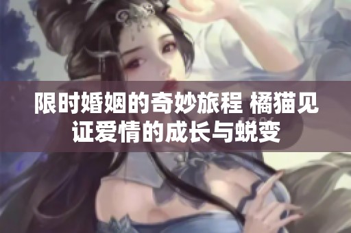 限时婚姻的奇妙旅程 橘猫见证爱情的成长与蜕变