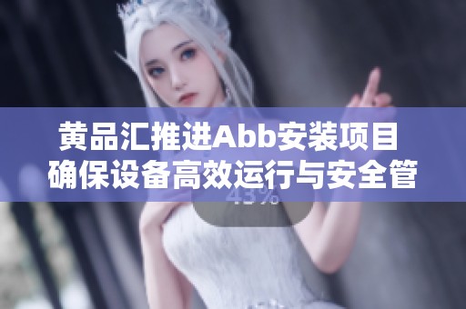黄品汇推进Abb安装项目 确保设备高效运行与安全管理
