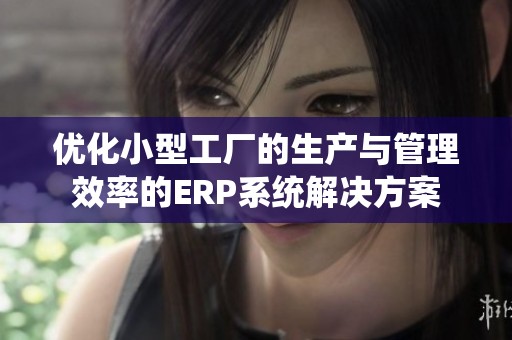 优化小型工厂的生产与管理效率的ERP系统解决方案