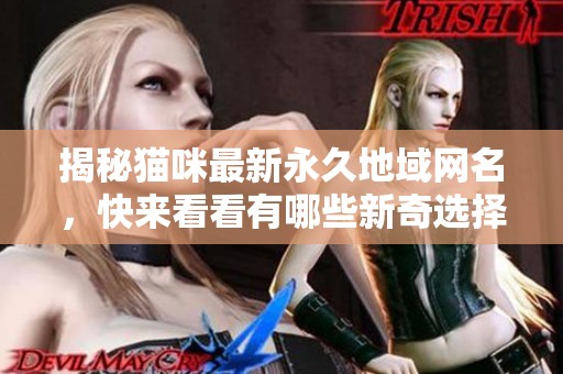 揭秘猫咪最新永久地域网名，快来看看有哪些新奇选择！