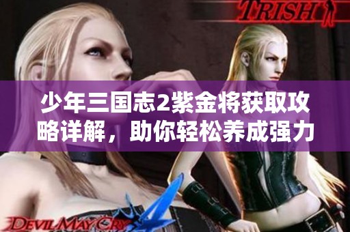 少年三国志2紫金将获取攻略详解，助你轻松养成强力角色