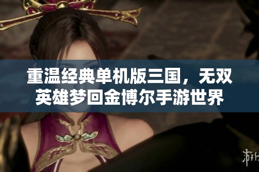 重温经典单机版三国，无双英雄梦回金博尔手游世界