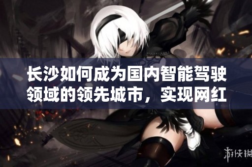 长沙如何成为国内智能驾驶领域的领先城市，实现网红之都的梦想