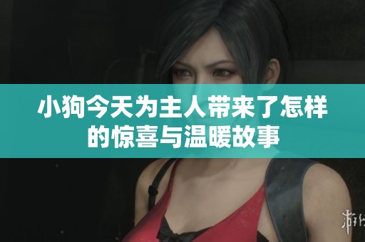小狗今天为主人带来了怎样的惊喜与温暖故事