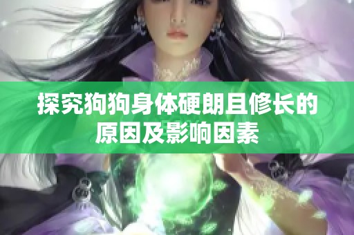 探究狗狗身体硬朗且修长的原因及影响因素