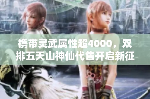 携带灵武属性超4000，双排五天山神仙代售开启新征程