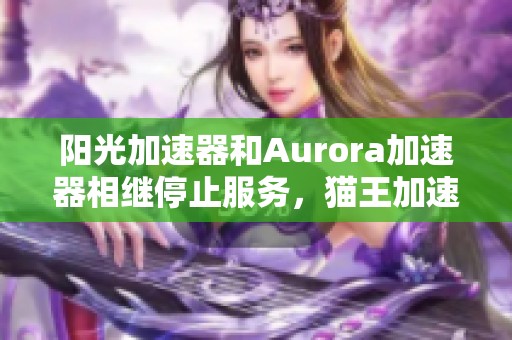 阳光加速器和Aurora加速器相继停止服务，猫王加速器能否继续发力？
