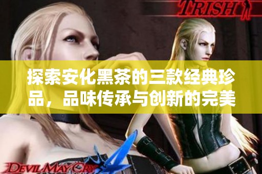 探索安化黑茶的三款经典珍品，品味传承与创新的完美结合