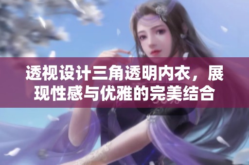 透视设计三角透明内衣，展现性感与优雅的完美结合