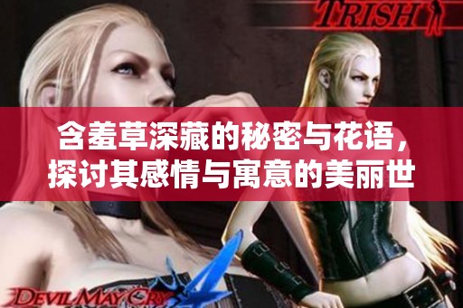 含羞草深藏的秘密与花语，探讨其感情与寓意的美丽世界