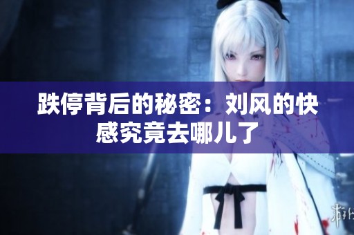 跌停背后的秘密：刘风的快感究竟去哪儿了