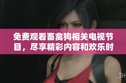 免费观看畜禽狗相关电视节目，尽享精彩内容和欢乐时光