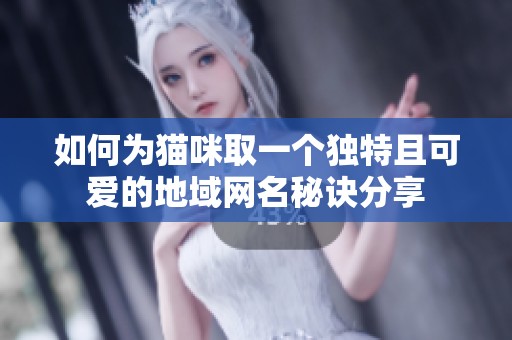 如何为猫咪取一个独特且可爱的地域网名秘诀分享