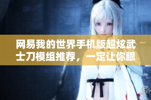 网易我的世界手机版超炫武士刀模组推荐，一定让你眼前一亮！