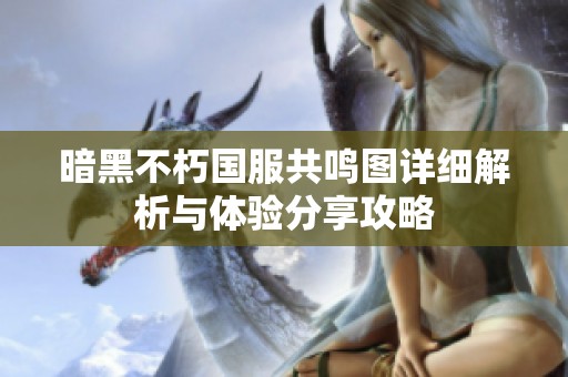 暗黑不朽国服共鸣图详细解析与体验分享攻略