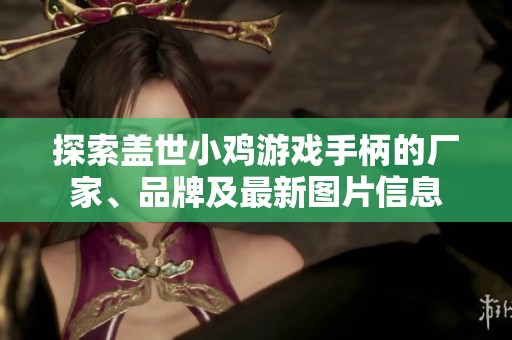 探索盖世小鸡游戏手柄的厂家、品牌及最新图片信息