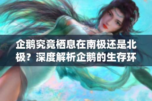 企鹅究竟栖息在南极还是北极？深度解析企鹅的生存环境