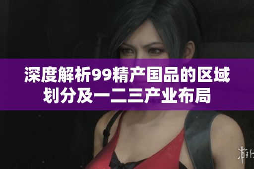 深度解析99精产国品的区域划分及一二三产业布局