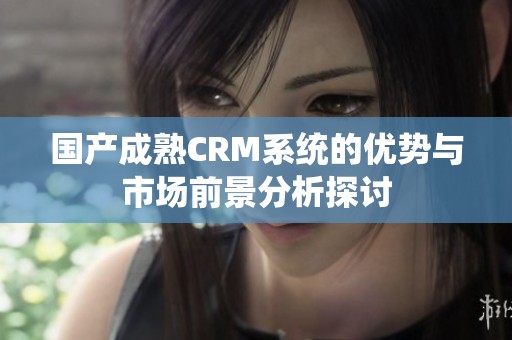 国产成熟CRM系统的优势与市场前景分析探讨