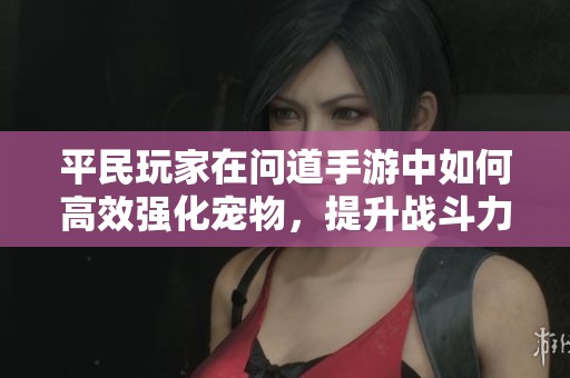 平民玩家在问道手游中如何高效强化宠物，提升战斗力之秘籍