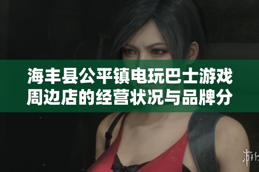 海丰县公平镇电玩巴士游戏周边店的经营状况与品牌分析