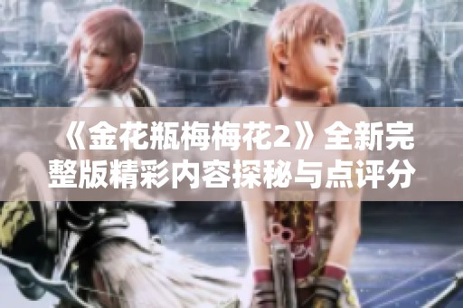 《金花瓶梅梅花2》全新完整版精彩内容探秘与点评分析