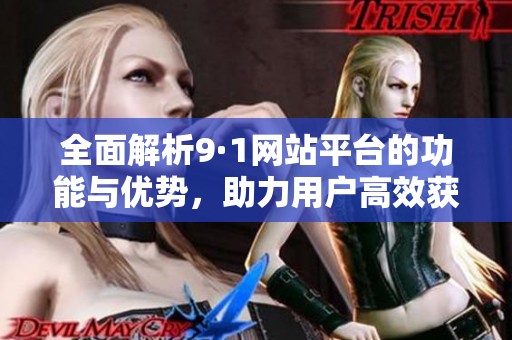 全面解析9·1网站平台的功能与优势，助力用户高效获取信息