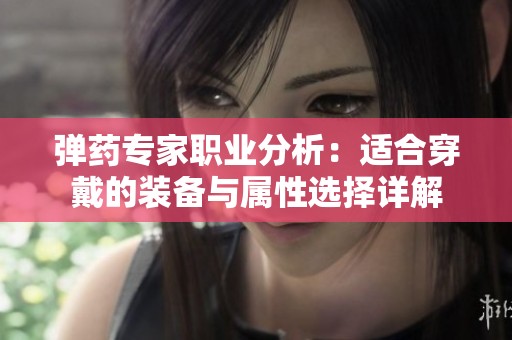 弹药专家职业分析：适合穿戴的装备与属性选择详解