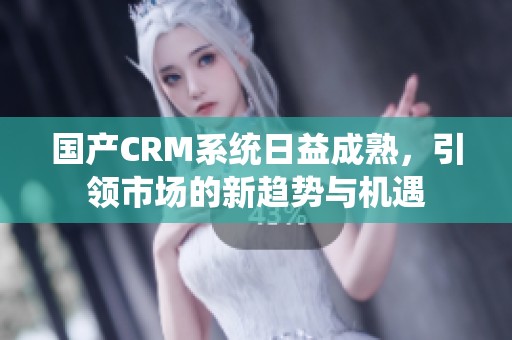 国产CRM系统日益成熟，引领市场的新趋势与机遇