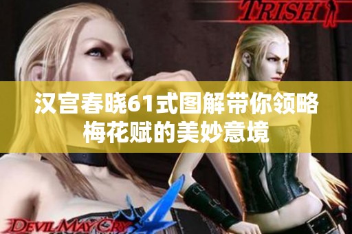汉宫春晓61式图解带你领略梅花赋的美妙意境