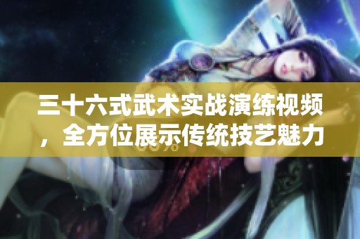 三十六式武术实战演练视频，全方位展示传统技艺魅力