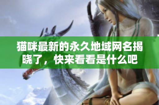 猫咪最新的永久地域网名揭晓了，快来看看是什么吧