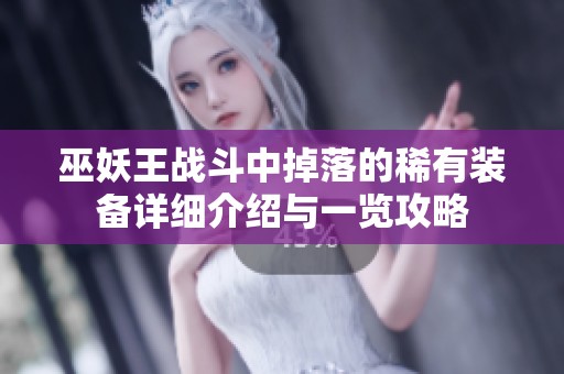 巫妖王战斗中掉落的稀有装备详细介绍与一览攻略